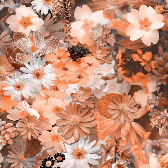 Meet your posher Aurora - Picture 6 of 12